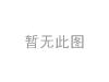分离轴承 Release Bearing:240061